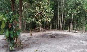 Imagem 2: Sítio no Rio Preto da Eva próximo à Manaus / AM