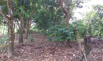 Imagem 7: Vendo lote rural