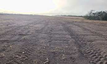 Imagem 7: Fazenda a venda em Goiatins - TO