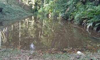 Imagem 7: Sitio a venda Chácara com venda por R$350.000