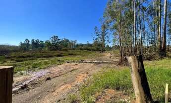 Imagem 2: Fazenda/Sítio/Chácara para venda tem 50000 metros quadrados em Área Rural de Taquara - Taq