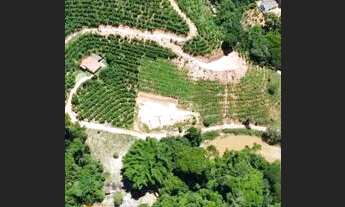 Imagem: Chacara domingos martins,negocio,parcelo