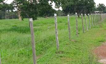 Imagem 7: Fazenda/Sítio/Chácara para venda possui 0 metros quadrados em Zona Rural - Cocalinho - Mat