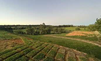 Imagem 5: Propriedade Rural com Pizzaria