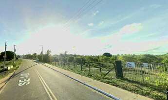 Imagem: Terreno na Rodovia Padre Leeb