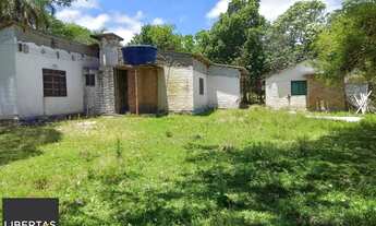 Imagem 4: Sitio com 13 mil metros com casa !