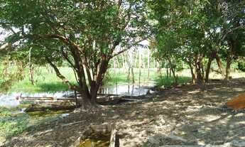 Imagem 7: Vendo um lindo sitio. Valor 110 mil