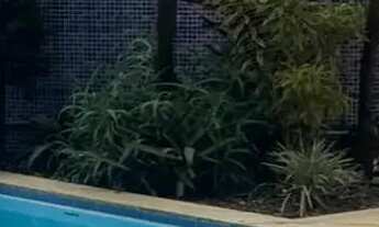 Imagem 5: Imóvel para aluguel tem 90 metros quadrados com 3 quartos em Stiep - Salvador - BA