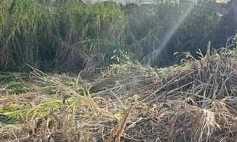 Imagem: Lote 400 m2 - Vicente Pires (Chácara 336)