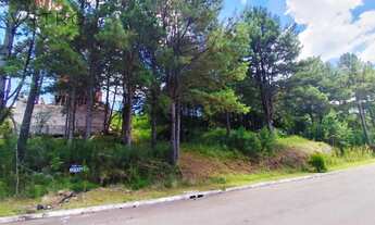 Imagem: Terreno à Venda em Gramado!