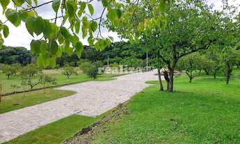 Imagem 3: TERRENO EM GRAMADO