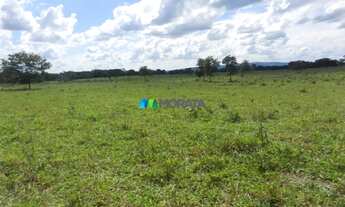 Imagem 3: FAZENDA À VENDA - 1.033 HECTARES - ENGENHEIRO DOLABELA (MG