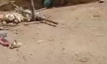 Imagem: Yasmin Bianca Teixeira da Silva