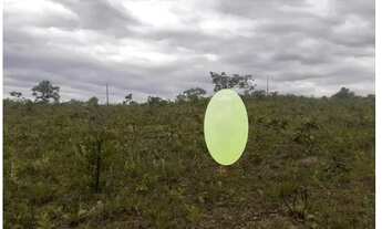 Imagem 6: Chácara Área Rural Terreno Rural RAJADINHA II mesma area do Paranoá DF 2.500 m²