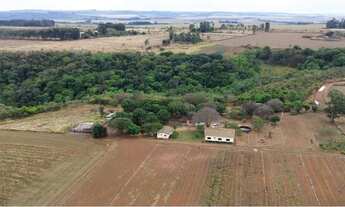 Imagem 2: Fazenda 46 hectares no DF