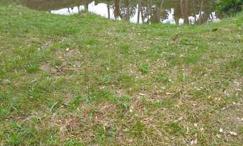 Imagem 15: 20 mil mts quadrados apenas 220 a vista ou 250 a prazo