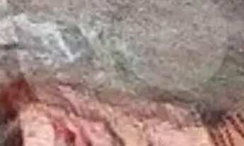 Imagem 7: Terreno à venda em Butantã, São Paulo - SP