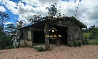 Imagem 2: Salomone vende sítio de 15.000m² em Gravataí