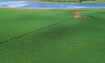 Imagem 2: Fazenda a venda 20.650 hec em Paranatinga MT. 780 milhões