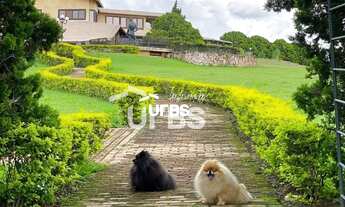 Imagem 4: Mansão no Park Way - Brasília - DF