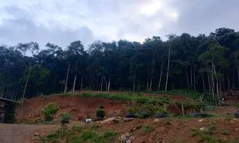 Imagem 6: Sítio 1.7 hectare com casa, próximo de Gramado