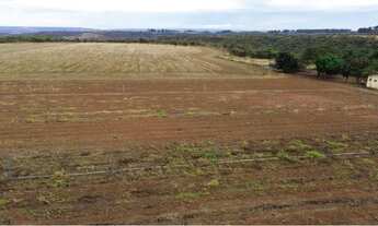 Imagem 3: Fazenda 46 hectares no DF