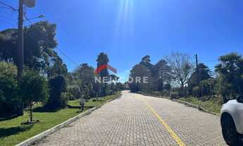 Imagem 5: Lote em Passeio Caaguas - Veraneio Hampel - São Francisco de Paula/RS