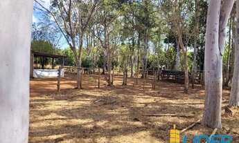 Imagem 2: Fazenda à venda, ÁREA RURAL DE UBERLÂNDIA - Uberlândia/MG