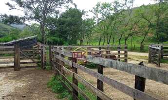 Imagem 4: Fazenda com 3 dormitórios à venda, 3968000 m² por R$ 11.000.000,00 - Área Rural de São Fra