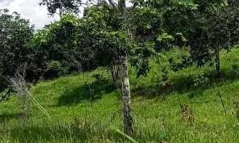 Imagem 2: Fazenda à Venda, zona rural, Rubiataba, GO