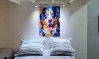 Imagem 11: Kitnet/Conjugado : / Residencial / Centro