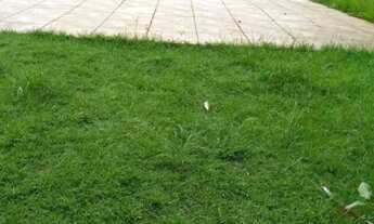 Imagem 7: Chácara em Limeira