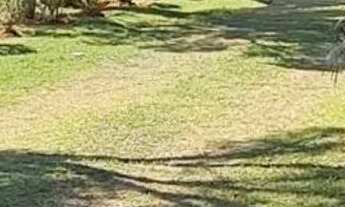 Imagem 5: CASA / CHÁCARA PARA VENDA NA CIDADE DE VALINHOS/SP