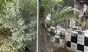 Imagem 2: Prédio inteiro à venda ou para locação em Jardim Satélite - SP