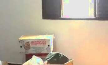 Imagem 4: Boa casa em bairro tranquilo próximo da Av Lucas, perto de padaria e mercadinho