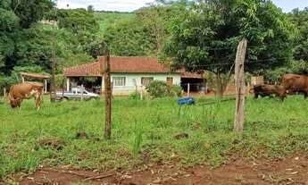 Imagem 4: Sítio Canta Galo