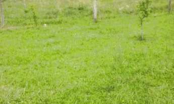 Imagem: Belíssimo sítio com casa na cidade de