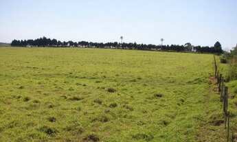 Imagem 4: Sarapuí 6.3 Alqueires (Lindo