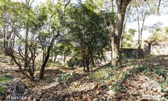 Imagem 3: Casa em condomínio à Venda - Ipê, 360 m²