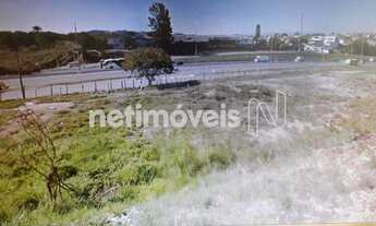 Imagem 3: Venda Lote-Área-Terreno Palmeiras Belo Horizonte