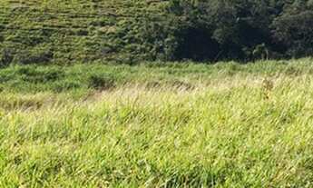 Imagem 3: Terreno 1000m² em Santa Isabe, próx a Aruja