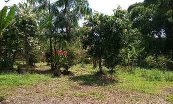 Imagem: Sitio a venda