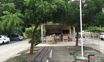 Imagem 5: Apartamento Mobiliado para Venda no Terraço dos Ventos - AP12253