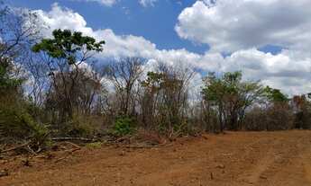 Imagem 6: Terrenos Rurais com muita natureza em Matozinhos/MG