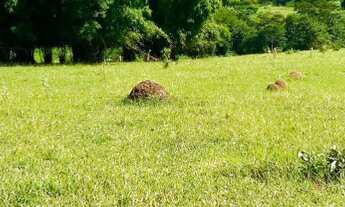 Imagem 2: Terrenos acesso pelo km 31,5 da Fernão Dias para chácara
