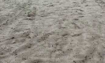 Imagem 6: Vendo ou troco três terreno em Tibiri 2