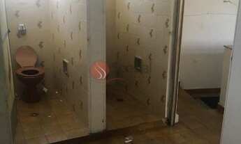 Imagem 2: Galpão comercial no Parque São Jorge, São Paulo