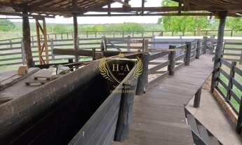 Imagem 5: FAZENDA A VENDA NO DISTRITO DE NOSSA SENHORA DO LIVRAMENTO 30 KM DE CUIABA