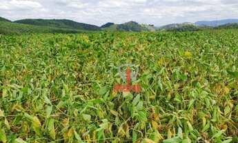 Imagem 3: Fazenda à venda 119 Alqueires por R$ 12.500.000 - Rural - Cândido de Abreu/Paraná