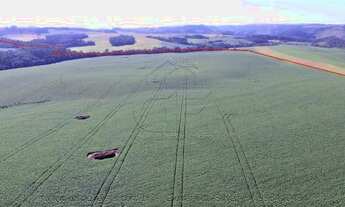 Imagem 6: Fazenda/Sítio/Chácara para venda com 66000 metros quadrados em Zona Rural - Marau - RS